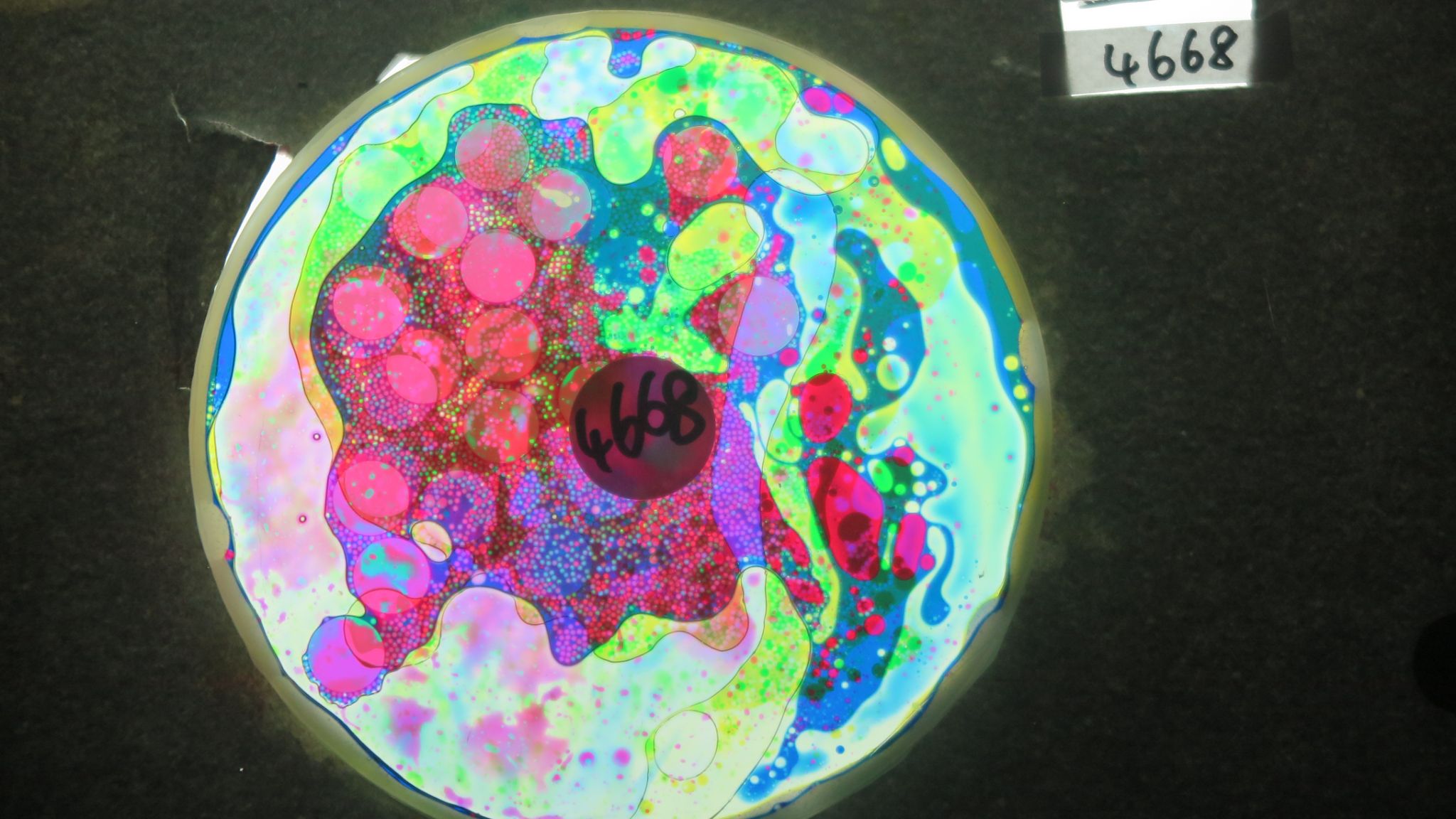 BV4668 bubble vision oil wheel